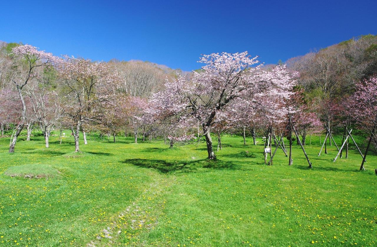🌳 베쓰포 기념공원(메모리아루파쿠벳푸코엔) 이미지 9